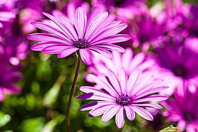 副业月入过万的秘诀是？